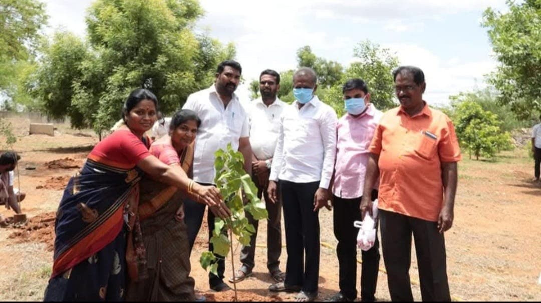 House of Kalam & Green Missions — photo 9