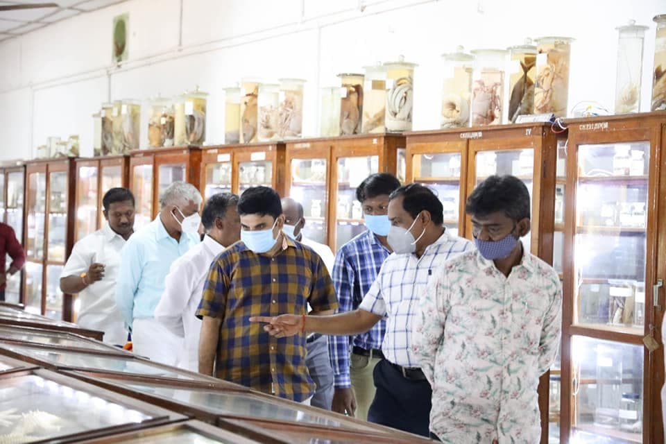 Green Rameswaram — photo 4